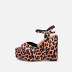 Plataformas Wild Brat