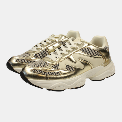 Tenis Nova Dorado