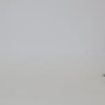Video de Zapatillas Bianca negras